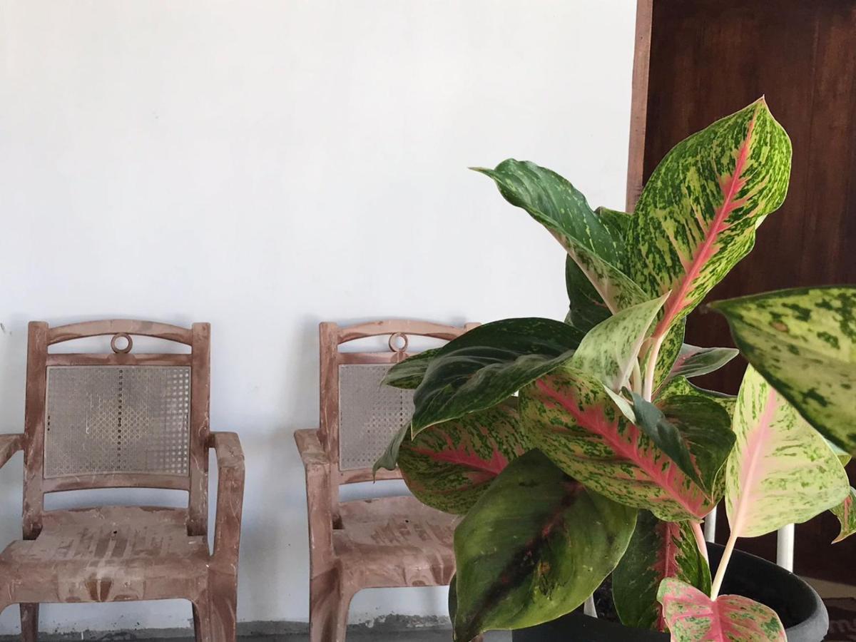 נגומבו Anna Tourist Inn מראה חיצוני תמונה