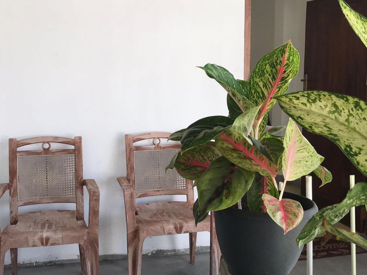 נגומבו Anna Tourist Inn מראה חיצוני תמונה